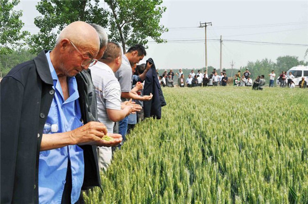 乐天堂fun88·(中国集团)官方网站