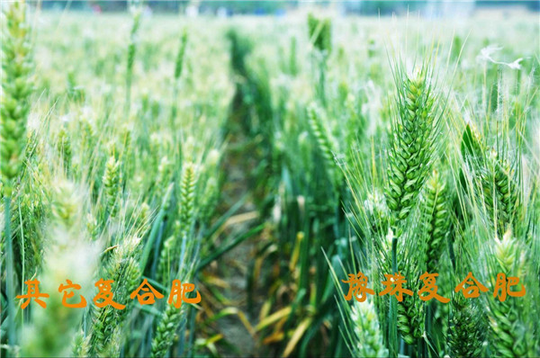 乐天堂fun88·(中国集团)官方网站