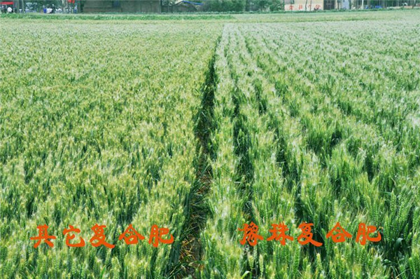 乐天堂fun88·(中国集团)官方网站