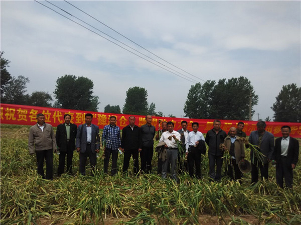 乐天堂fun88·(中国集团)官方网站