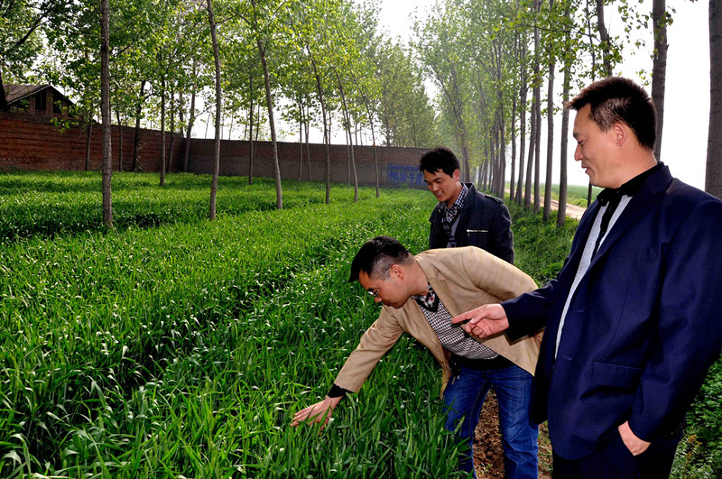 乐天堂fun88·(中国集团)官方网站