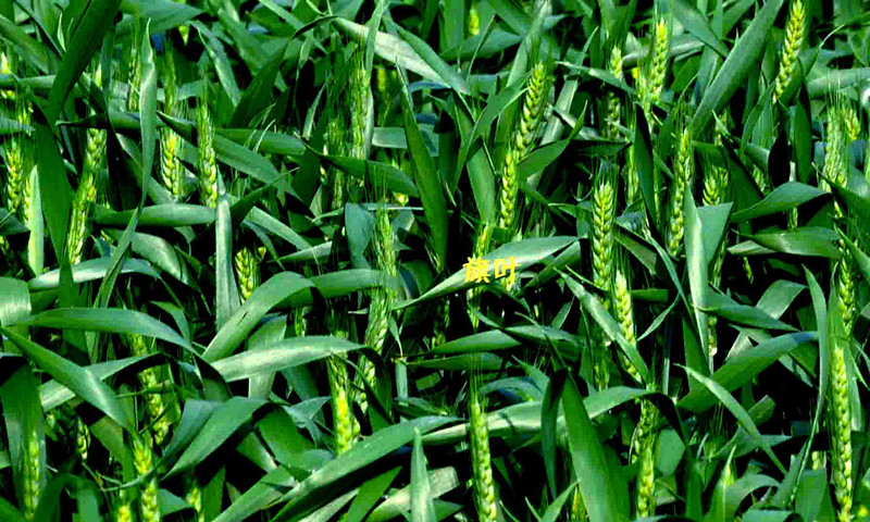 乐天堂fun88·(中国集团)官方网站