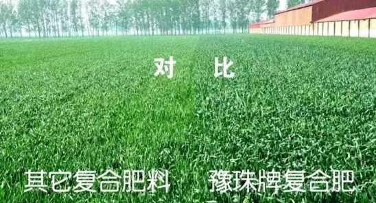 乐天堂fun88·(中国集团)官方网站