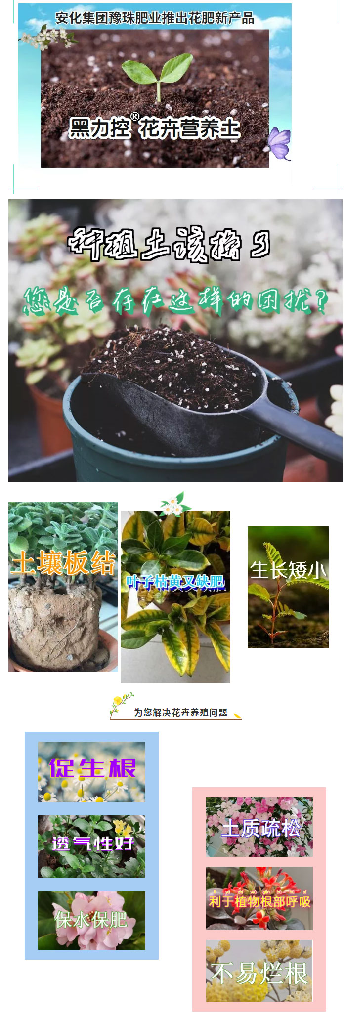 安化集团乐天堂fun88肥业推出花肥新产品---花卉营养土_01