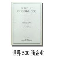 天下500强企业
