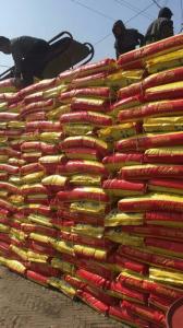 乐天堂fun88肥料根扎东北深受外地人喜欢